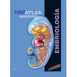 Maxi Atlas Embriologia T.1, De Vv. Aa.. Editorial Marban Libros En Español