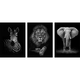 Cuadro Tríptico Decorativo Animales Blanco Y Negro 