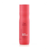 Shampoo Wella Professionals Invigo Color Brilliance 250ml