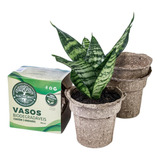 Kit 3 Vasos Biodegradáveis Sustentáveis Tam G Nagmobio