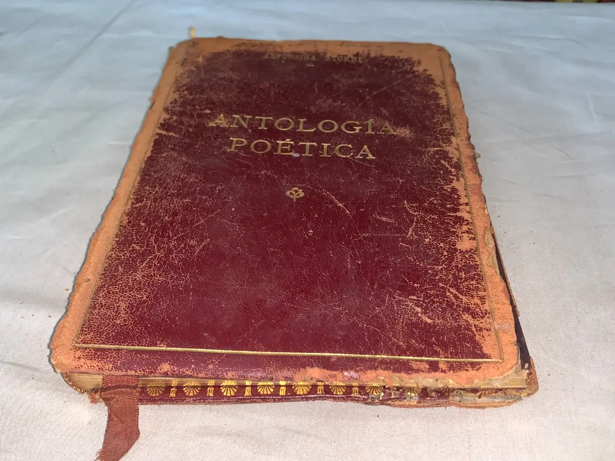 Antologia poética