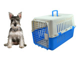 Caja Jaula Transportadora Para Perro Mediano - Viaje Aereo