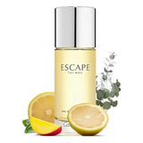 Calvin Klein Escape For Men Edt 100ml Premium