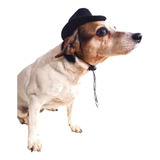 Sombrero Vaquero Para Mascotas Perros Gatos