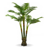 Planta Artificial Palmeira Imperial Extra Grande Real Toque