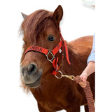 Jaquimones Para Potros !! Personalizados, Caballos