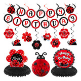 Ladybug Fancy Birthday Party Decoration Kit Linda Ladybug Ba