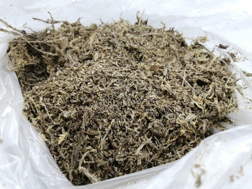 Sphagnum Moss Molido 250g Calidad Estandar