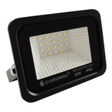 Reflector Led 20w Luz Blanca Color De La Carcasa Negro Color De La Luz Blanco Frío 110v/240v