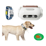 Collar Luminoso For Mascotas Nighttime Dog Walking Mini