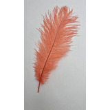 Pluma De Avestruz 30-35cm Remate Eventos Fiestas Decoracion