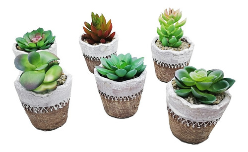 6 Maceteros Cactus, Adorno, Regalo Dia De La Madre Terrarios