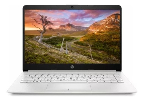 Portátil Hp 14-cf2074la Core I5-10210u Ram 16gb Ssd 256gb