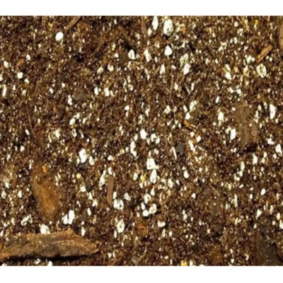Tierra Especial Para Cactus Y Suculentas Costal De 40 Kilos | Envío gratis