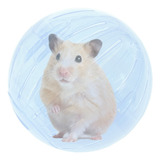 Bola Para Hamster Roedores Ball Savana Pet Cor Transparente