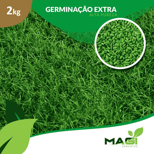 Sementes Grama Bermuda Campo De Futebol, Jardim 2 Kg