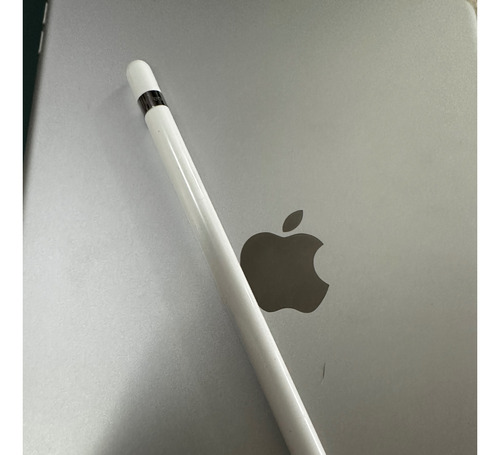 Apple iPad 8va Generación Wi-fi  32gb + Apple Pencil