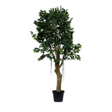 Remate De Arbolitos Artificiales! - Ficus 190cms