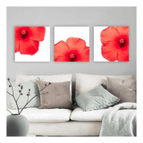 Quadro Tela Canvas Trio Hibisco 40x40 No Chassi