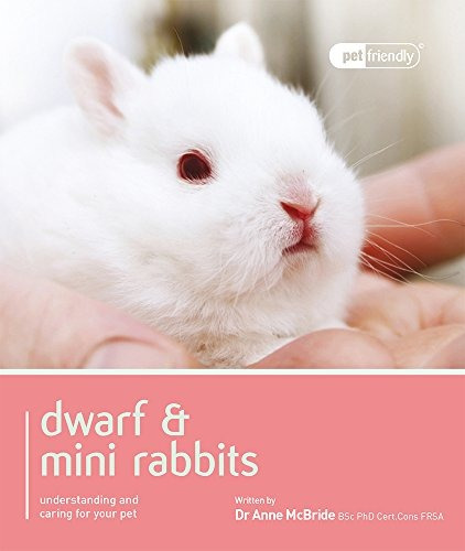 Enanos Y Mini Conejos Admiten Mascotas