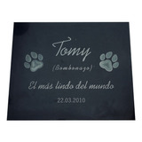 Placa Grabada Mascotas, Diseños Personalizados. 30x15cm.
