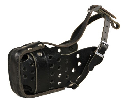 Dean & Tyler  top Gun Muzzle De Piel, Malinois