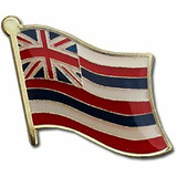 Metal Lapel Pin  ee. Uu. Estado Banderas  hawaii