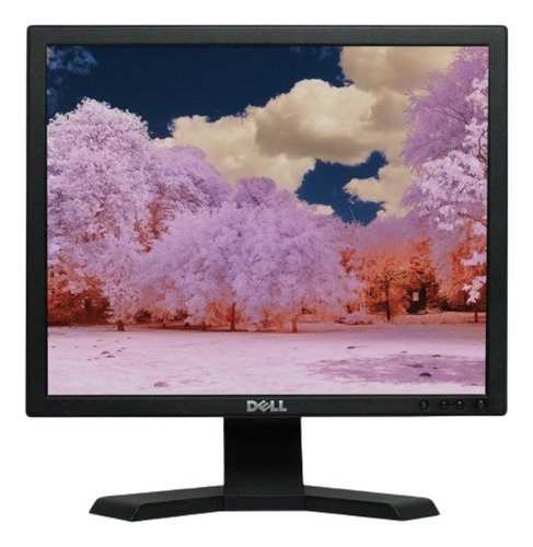 Monitor Barato Dell Lcd 17 Polegadas Quadrado Vga - E177fpc