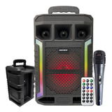 Caixinha De Som Grande 1000w Amplificado Bluetooth+ Mic P10