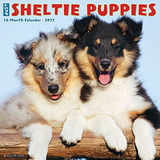 Libro:  Just Sheltie Puppies 2022 Wall Calendar (dog Breed)