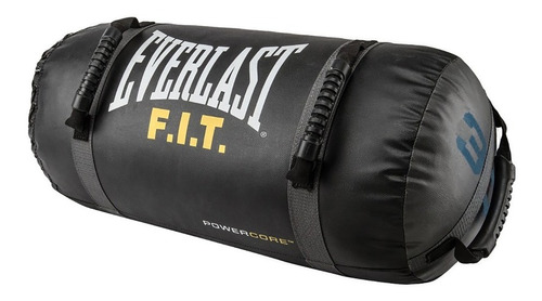 Saco Crossfit Everlast Powercore Fit 30 Lbs Funcional Bolsa 