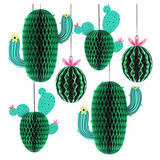 Katchon, Panal De Cactus Para Decoraciones De Fiesta De Cact