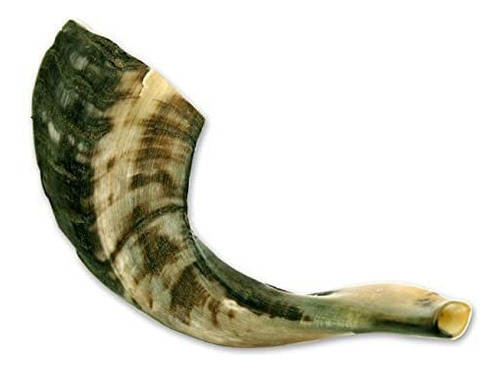 Shofar Tradicional De Israel, Instrumento Musical Natural Ju