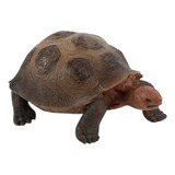 3 Piezas De Figuritas De Tortuga, Juguetes, Decoración Del H