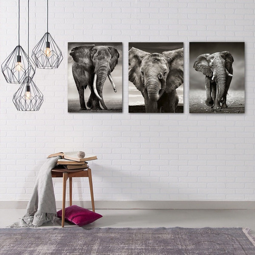 3 Piezas Elefantes C/marco 50x60cm Cuadro Canvas Decorativo