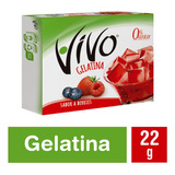 Vivo Gelatina Berries 22 Gr