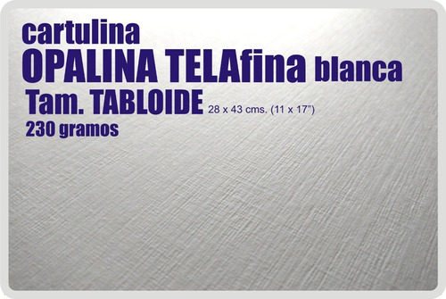 Cartulina Opalina Telafina 230 Grs. 28x43 100 Hojas         