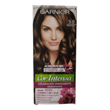 Garnier Cor Intensa