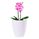 Vaso De Plantas Artificial Decorativo Branco Pequeno 20x23cm