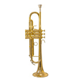 Trompete Hs Musical Hs1048 Laqueado (sib) 100% Brasil