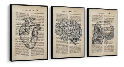 Quadro Decorativo C Moldura Medicina Coração Cérebro Médico