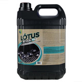 Acqua Pro Impermeabilizante De Sofa Base 5l Lotus G&s