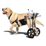 Silla De Ruedas Perro, Paralizado Scooter De Perro De Edad