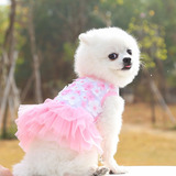 Vestido Para Perro Summer Sweet Princess, Falda De Perrito