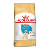 Royal Canin Labrador Retriever Filhote 12kg Royal