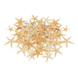 Decoración De Estrella Mar Natural Para 1-5cm 100 Piezas