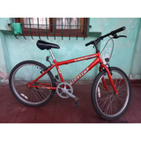 Bicicleta Mountain Bike Rodado 24