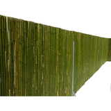 Cañas Tacuara Bambú En Cercos