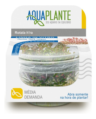 Planta Aquaplante Rotala Sp. Hra