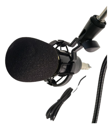 Microfone Profissional Condensado A Pronta Entrega